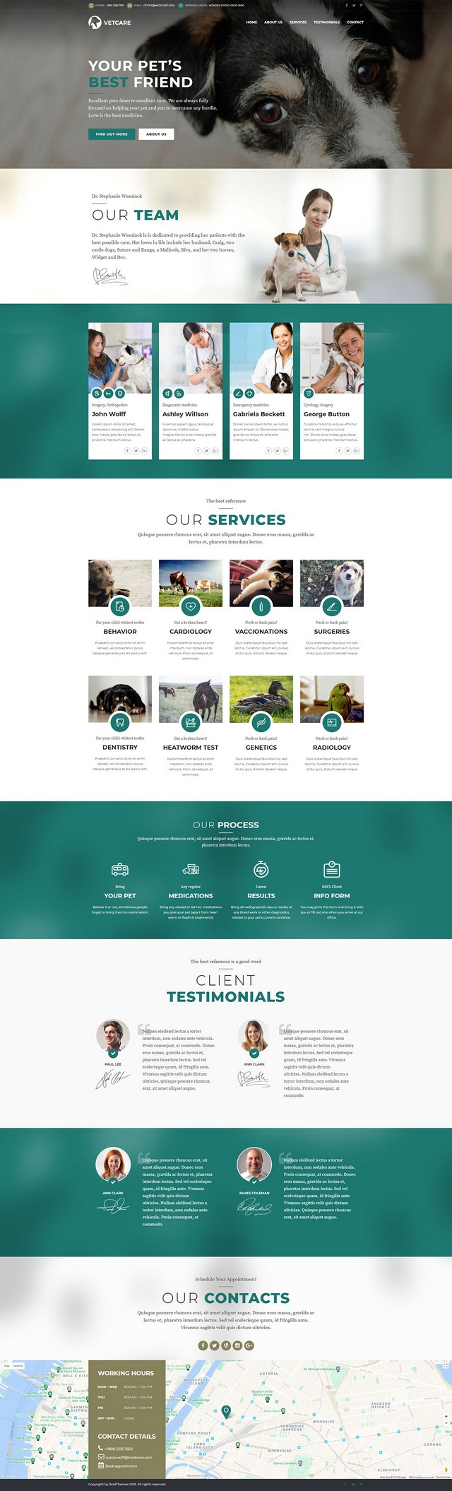 health and medical wordpress theme Medicare homepage layout for vet
